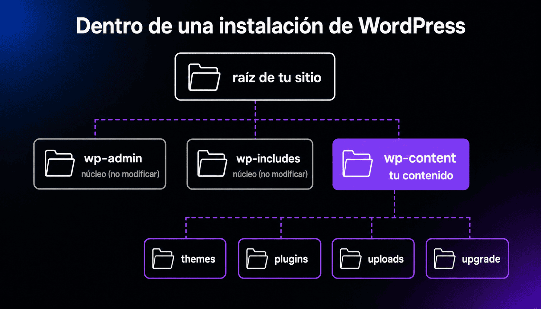 Carpeta wp-content thumbnail