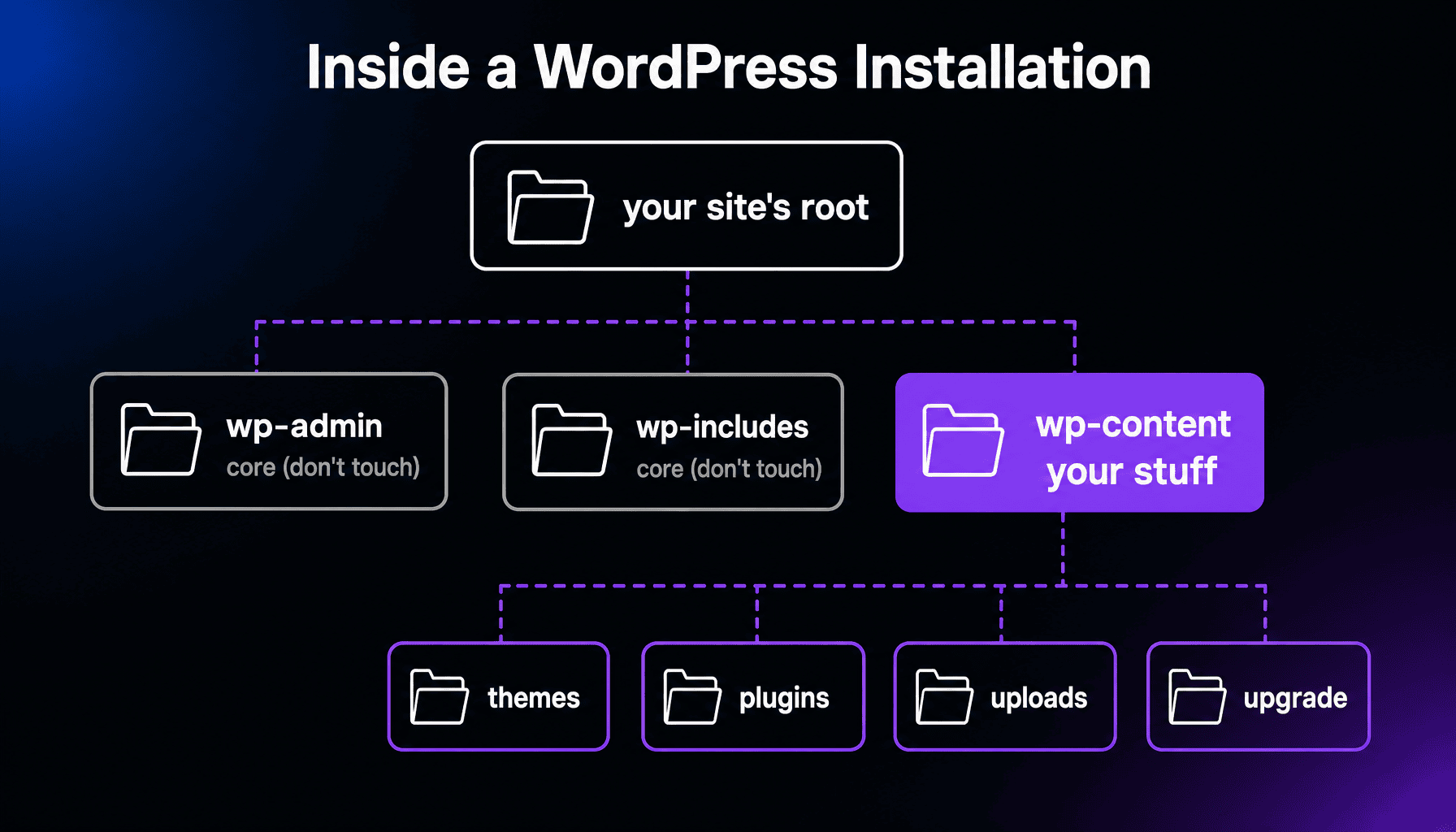 wp-content Folder thumbnail